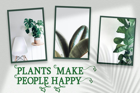 Girdens - Decorative Serif Font Font StringLabs 