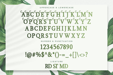 Girdens - Decorative Serif Font Font StringLabs 