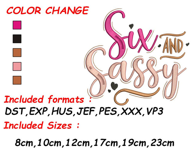 Girl 6th Birthday, Birthday Embroidery, 6th Birthday Embroidery, Six Birthday, Happy Birthday, Kids Birthday Embroidery/Applique DESIGNS SVG Digital Designer 