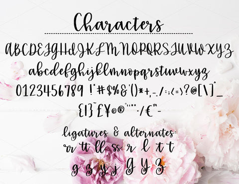 girlie script Font lillie belles designs 