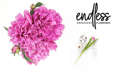 Girly Style Font Akrt Std 