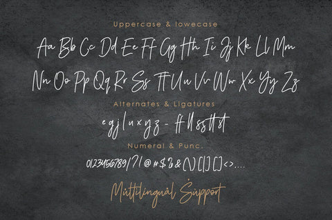 Gisella Jane Handwritten Script Font Font Balevgraph Studio 