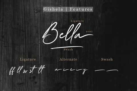 Gishela Script Font Font Balevgraph Studio 