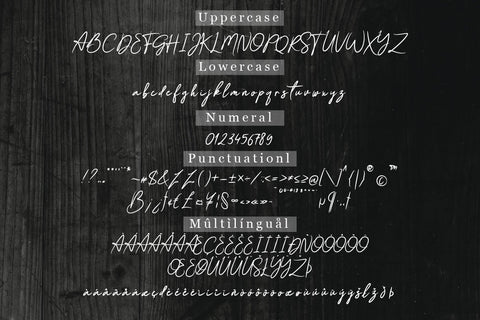 Gishela Script Font Font Balevgraph Studio 