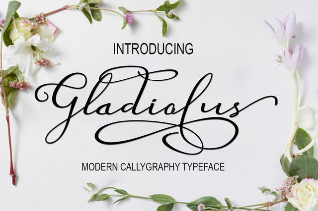 Gladiolus Font marwah store 