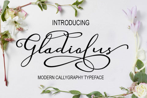 Gladiolus Font marwah store 