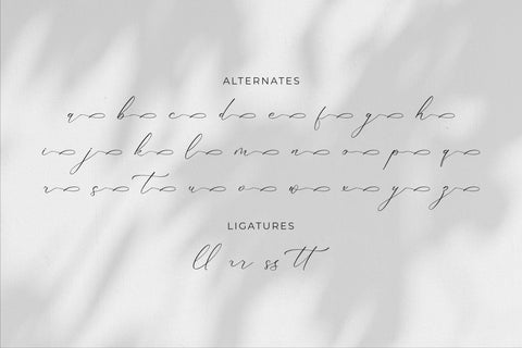 Gladista Arabela - Beauty Calligraphy Font Font Storytype Studio 