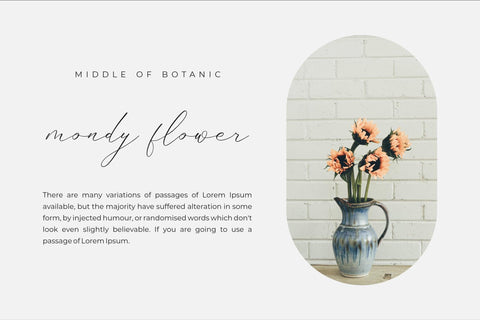 Gladista Arabela - Beauty Calligraphy Font Font Storytype Studio 