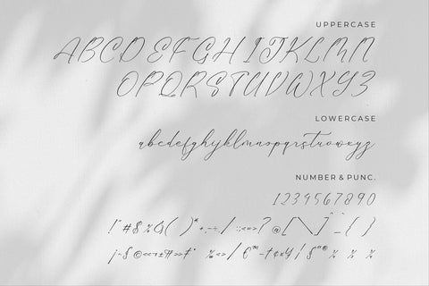 Gladista Arabela - Beauty Calligraphy Font Font Storytype Studio 