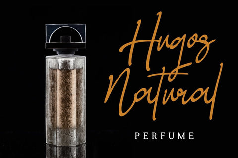 Glastia Monoline Font Hans Co 