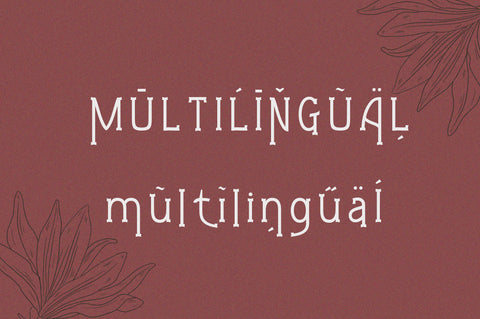 Gleams Serif Playful Display Font Akrt Std 