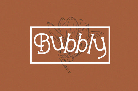 Gleams Serif Playful Display Font Akrt Std 