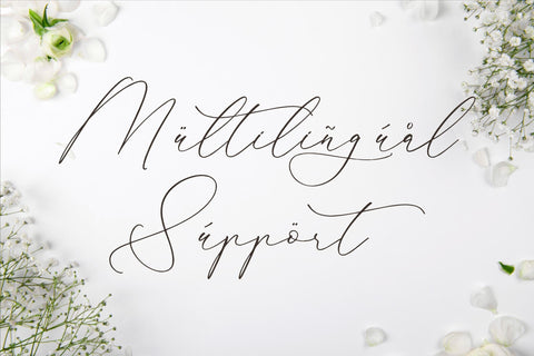 Glofester Menditas - Luxury Calligraphy Font Font Storytype Studio 