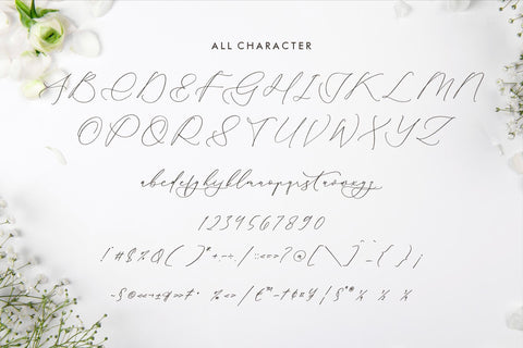 Glofester Menditas - Luxury Calligraphy Font Font Storytype Studio 
