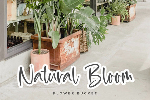 Goblin Hunters a Modern Calligraphy Font Font Balpirick 