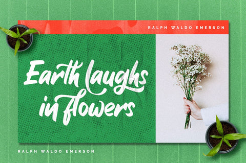 Gojacky - Bold Script Font Font Ibey Design 