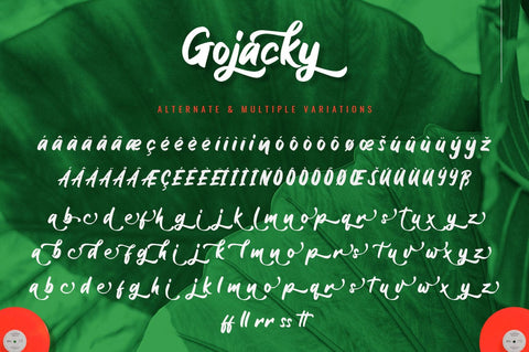 Gojacky - Bold Script Font Font Ibey Design 