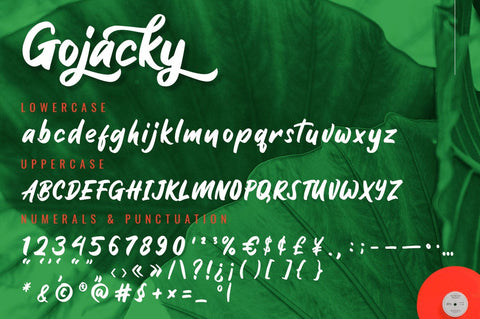 Gojacky - Bold Script Font Font Ibey Design 