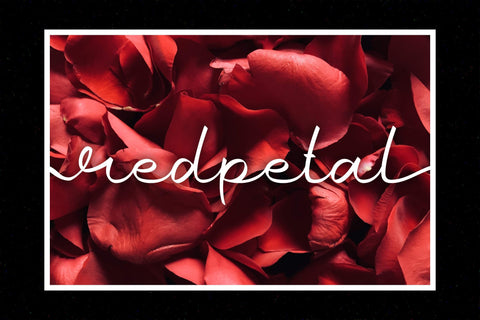 Gold Ribbon | Lovely Script Font Font Katario Studio 