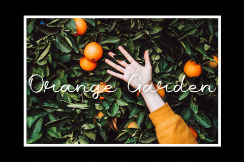 Gold Ribbon | Lovely Script Font Font Katario Studio 