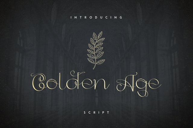 Golden Age Script Font VPcreativeshop 