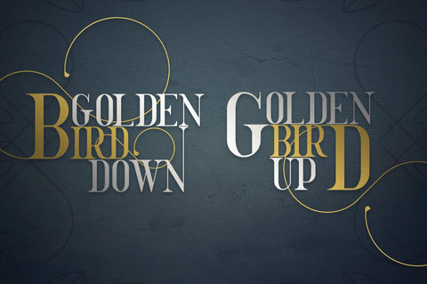 Golden Bird Serif font + Cool Extras Font VPcreativeshop 