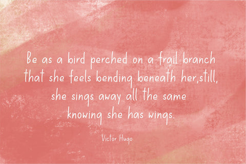 Goldfinch Font Sunday Nomad 