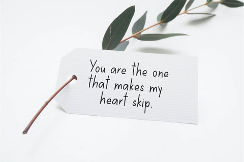 Goldfinch Font Sunday Nomad 