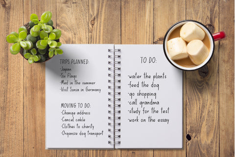 Goldfinch Font Sunday Nomad 