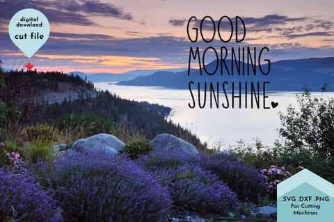 Good Morning Sunshine Hand Lettered SVG Cut File SVG Lettershapes 