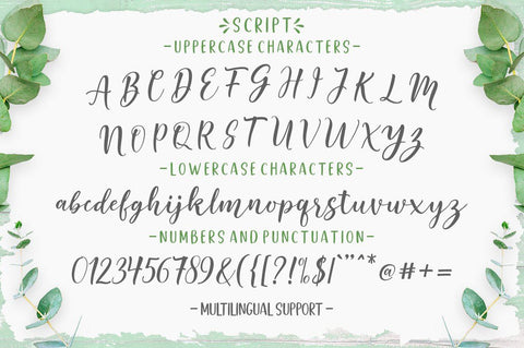 Good Selection Font Duo & Extras Font Megatype 