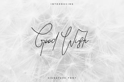 Good Wish Signature font Font VPcreativeshop 