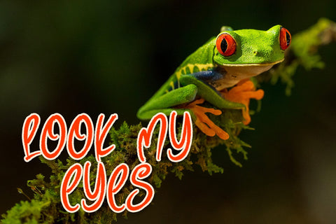 Gorilla Beam Font nearzz 