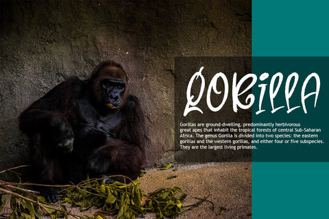 Gorilla Beam Font nearzz 