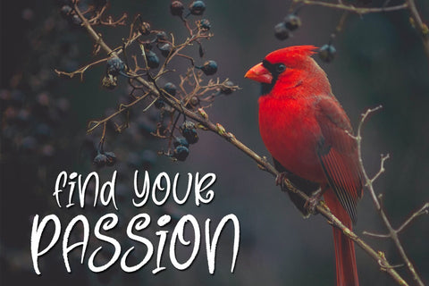 Gorilla Beam Font nearzz 