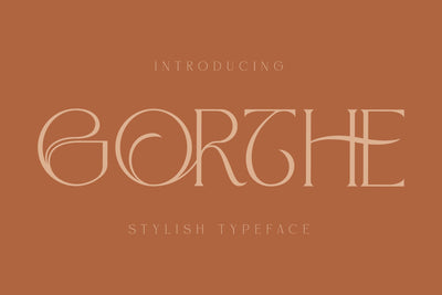 GORTHE Typeface Font Storytype Studio 