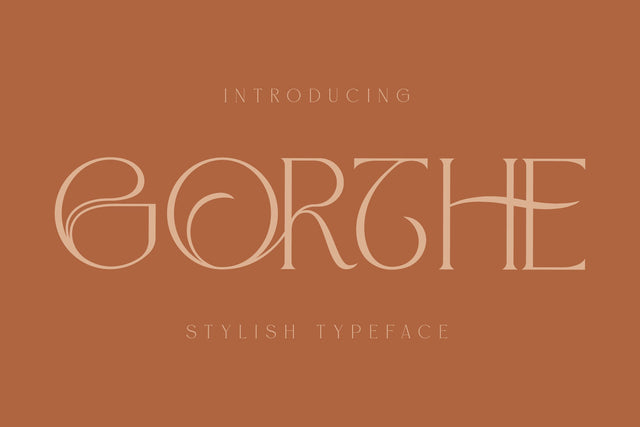 GORTHE Typeface Font Storytype Studio 