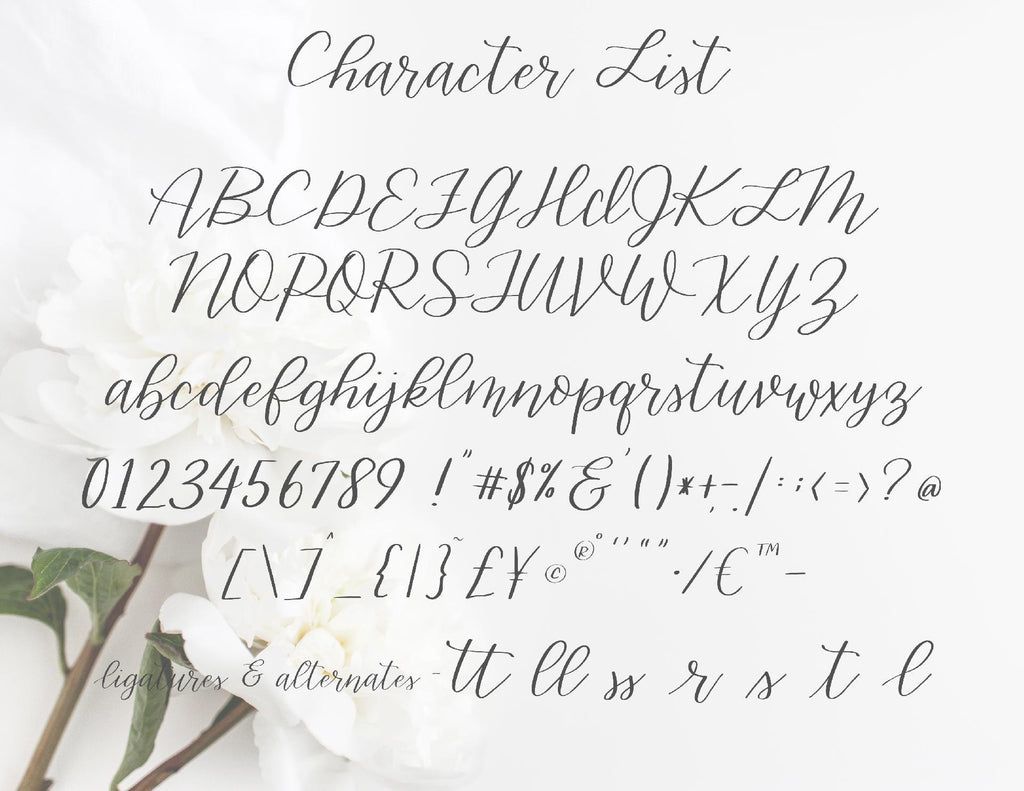 Gracefully Hand lettered font - So Fontsy