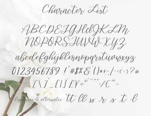 Gracefully Hand lettered font Font lillie belles designs 