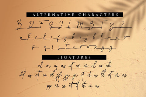 Graciast - Signature Font Font Dm Letter Studio 