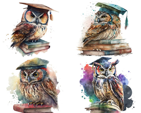 Graduation Owl Watercolor Sublimation Clipart JPG PNG Sublimation nikola 