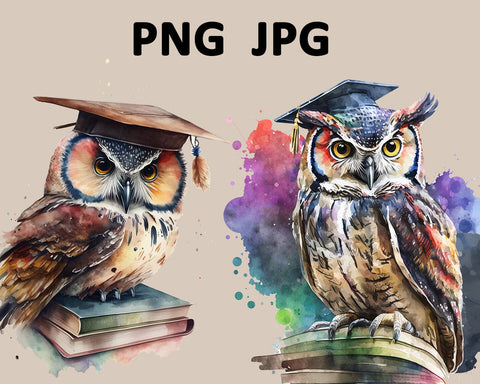 Graduation Owl Watercolor Sublimation Clipart JPG PNG Sublimation nikola 