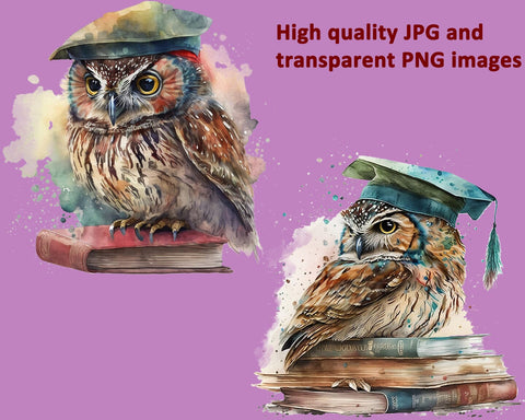 Graduation Owl Watercolor Sublimation Clipart JPG PNG Sublimation nikola 
