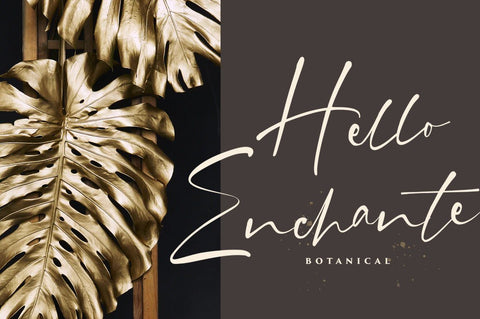 Grahamo - Luxury Signature Font Font Vultype Co 
