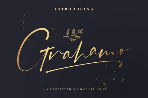 Grahamo - Luxury Signature Font Font Vultype Co 