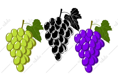 Grapes Clipart, SVG, PNG, EPS, DXF, PDF, for Cricut SVG nikola 