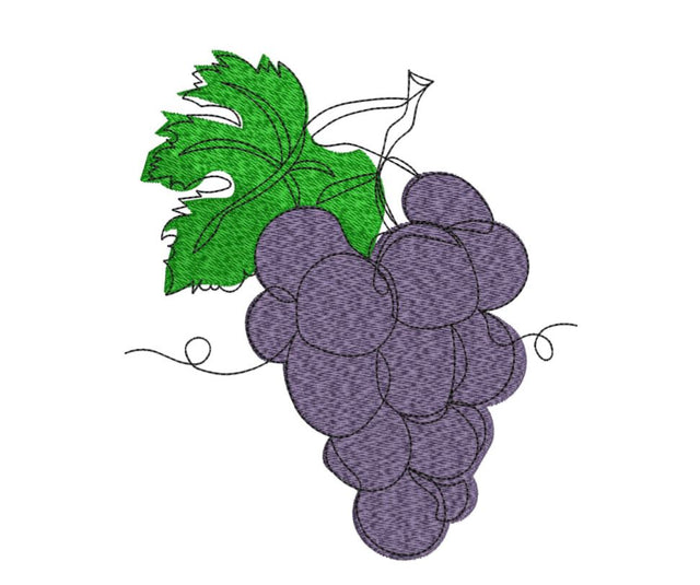 Grapes on Vine Embroidery Design Embroidery/Applique DESIGNS Canada Embroidery 