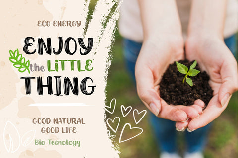 Graphic Pen Font BB Digital Arts 