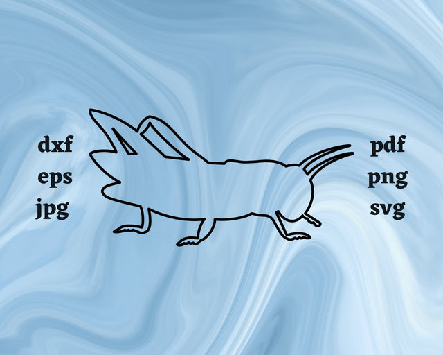 Grasshopper Outline SVG Cut File SVG Northern Light SVG 