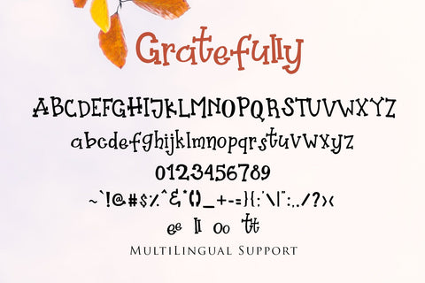 Gratefully - Slab Serif Font Font Dm Letter Studio 